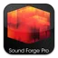 Sound Forge Соунд Форге — логотип